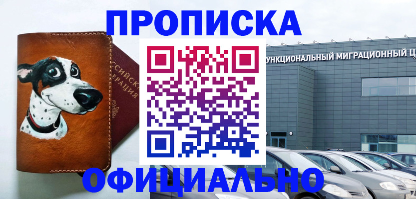 временная прописка в Плавске